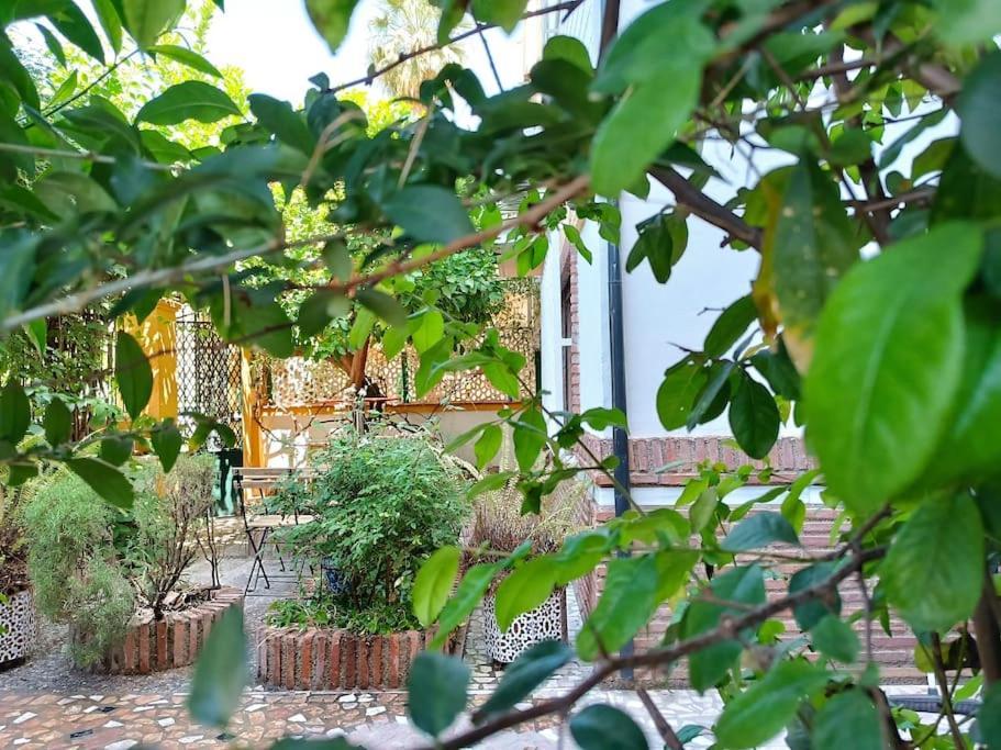 Casa Limonero Con Parking Gratis Junto A Centro Historico Villa กรานาดา ภายนอก รูปภาพ