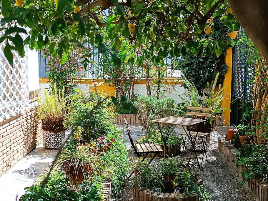 Casa Limonero Con Parking Gratis Junto A Centro Historico Villa กรานาดา ภายนอก รูปภาพ