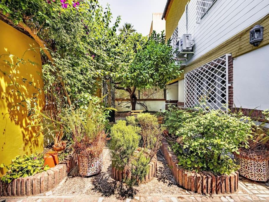 Casa Limonero Con Parking Gratis Junto A Centro Historico Villa กรานาดา ภายนอก รูปภาพ
