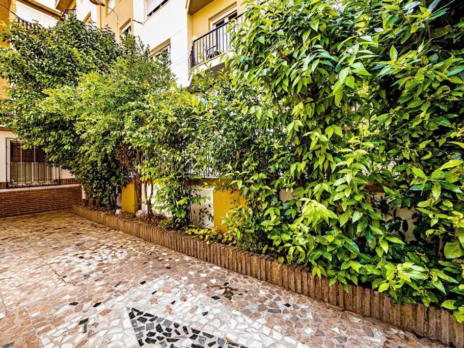 Casa Limonero Con Parking Gratis Junto A Centro Historico Villa กรานาดา ภายนอก รูปภาพ